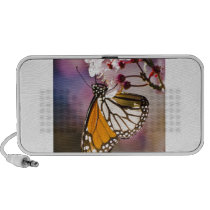 Monarch on a Flower speakers