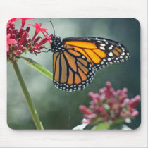 Monarch on a Flower Mousepad mousepads