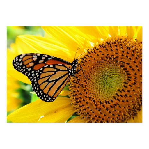 Monarch on a Sunflower ,Profile card Business Card Templates (front side)