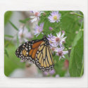 Monarch on Asters Mousepad by naturegirl7 Monarch on Asters Mousepad