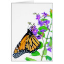 Monarch on Blossom cards