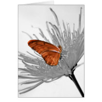 Monarch on Blossom cards