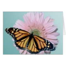 Monarch on Daisy cards by roimim Monarch on Daisy cards