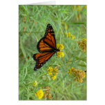 Monarch on Goldenrod Greeting Card