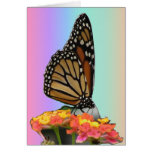 Monarch on Lantana Cards