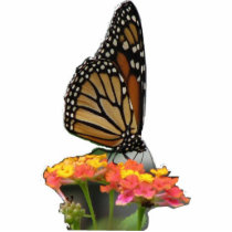 Monarch on Lantana Photo Sculpture photo sculptures