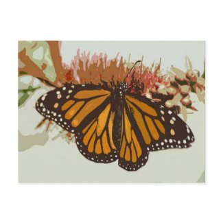 In association with Zazzle.com