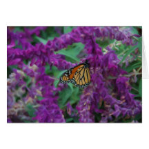 Monarch on Purple Greeting Card