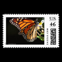 Monarch - Postage stamps