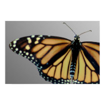 Monarch posters