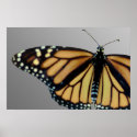 Monarch posters