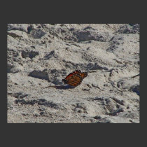 Monarch Tanning posters