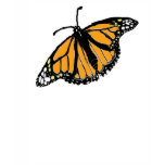 monarch tshirt
