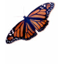 Monarch t-shirts
