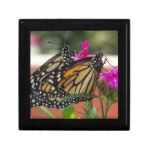 Monarch Twins #1-gift box