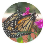 Monarch Twins #1-stickers