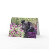 Monarch Wishes Card