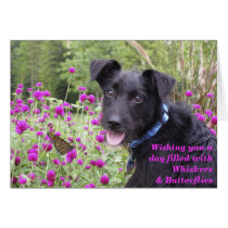 Monarch Wishes Card cards