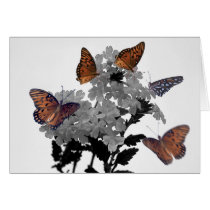 Monarchs and Penta cards by roimim Monarchs and Penta cards