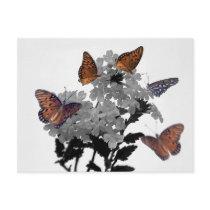 Monarchs and Penta postcards