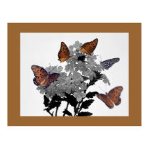 Monarchs and Penta posters
