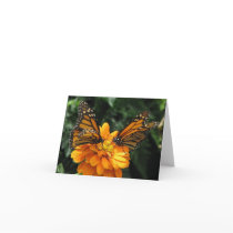 Monarchs cards