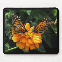 Monarchs mousepads