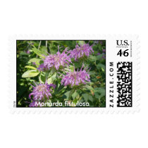 Monarda Postage postage