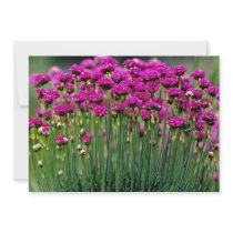 Monards, Quebec, Canada flowers Custom Invitation