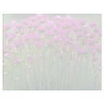 Monards, Quebec, Canada flowers Letterhead Template