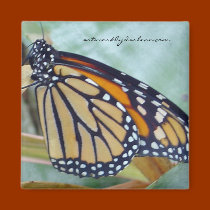 monark butterfly magnets