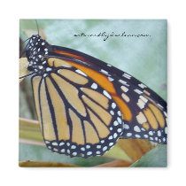 monark butterfly magnets by artworkbydarlene monark butterfly magnets