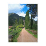 Monasterio de San José de las Batuecas Postcard