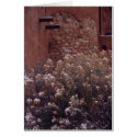 Monastery of Christ in the Desert cards