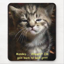 monday cat mouse pads