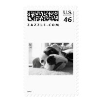 Monday Morning Blues postage