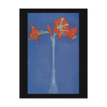 Mondrian Amaryllis in a Flash Post Cards