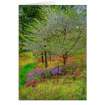 Monet Landscape Cards