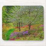 Monet Landscape