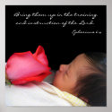 Monet Rose posters