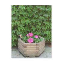 Monet's flowers postcards by JBertrand Monet's flowers postcards