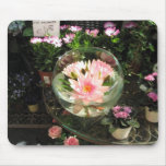 Monet's Lillies