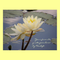 Monet's Lily posters