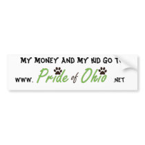 Money & Kids Bumper Sticker