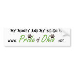 Money &amp; Kids Bumper Sticker
