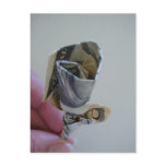 Money Origami Rose postcards