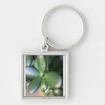 Money Plant Key Chain