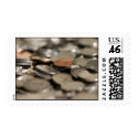 Money Shower postage