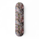 Money Skateboard