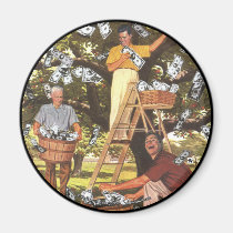Money Tree Magnet magnets